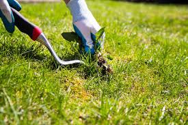Weeding-Fixed