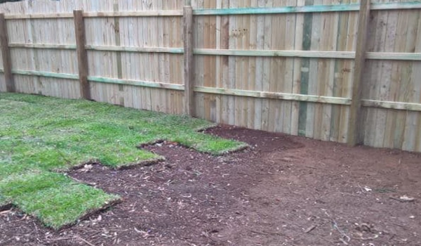 Replacing your lawn